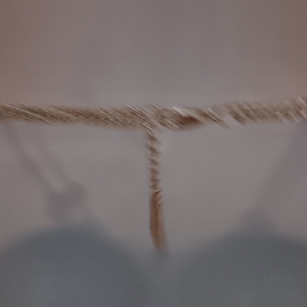 Multi Ring Shell Necklace - Picture 4 of 10